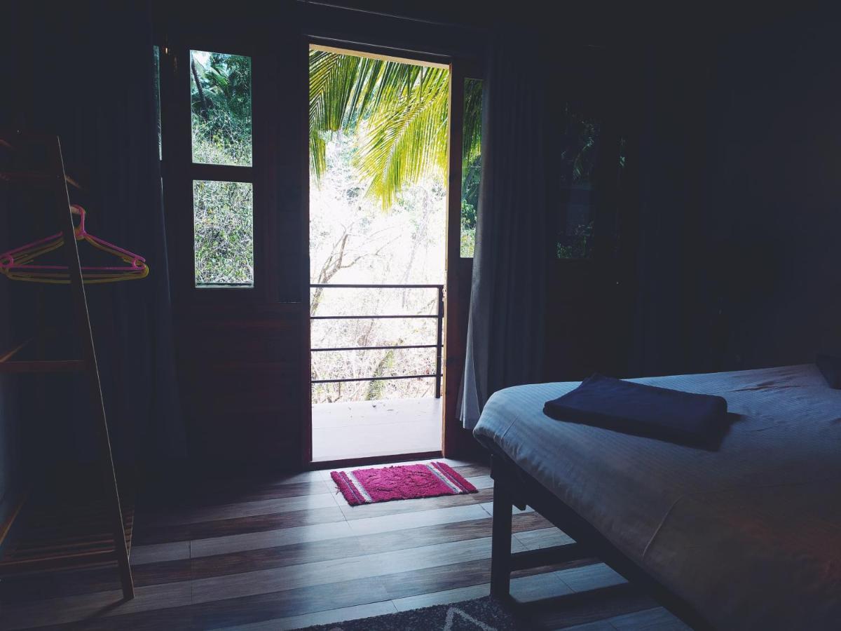 Resort Palm Trees Ayurvedic Heritage Patnem Beach