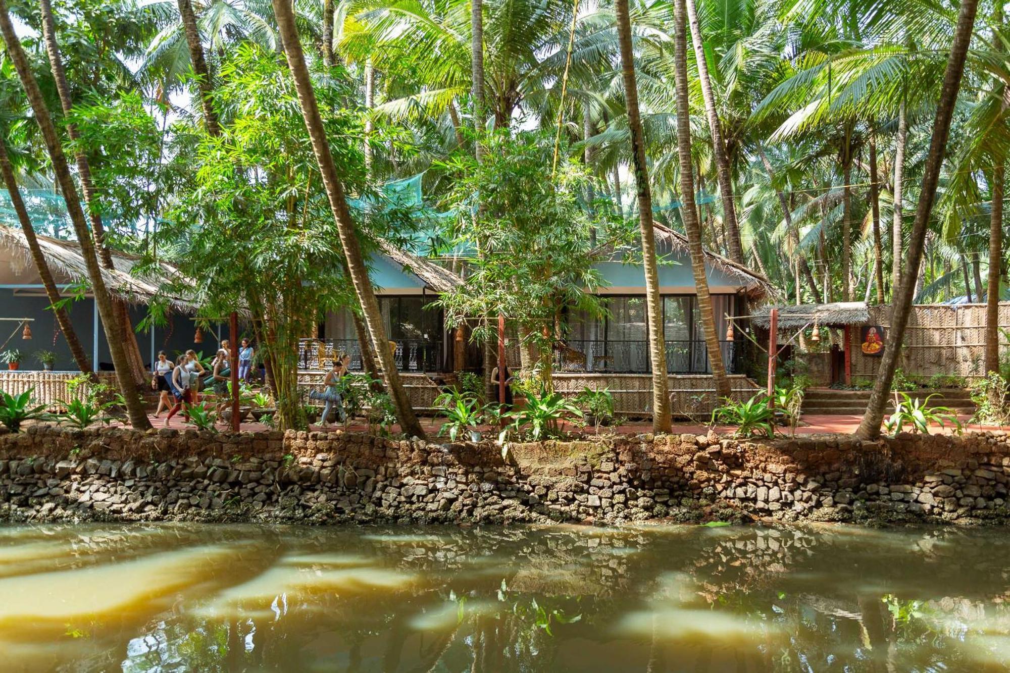 Palm Trees Ayurvedic Heritage