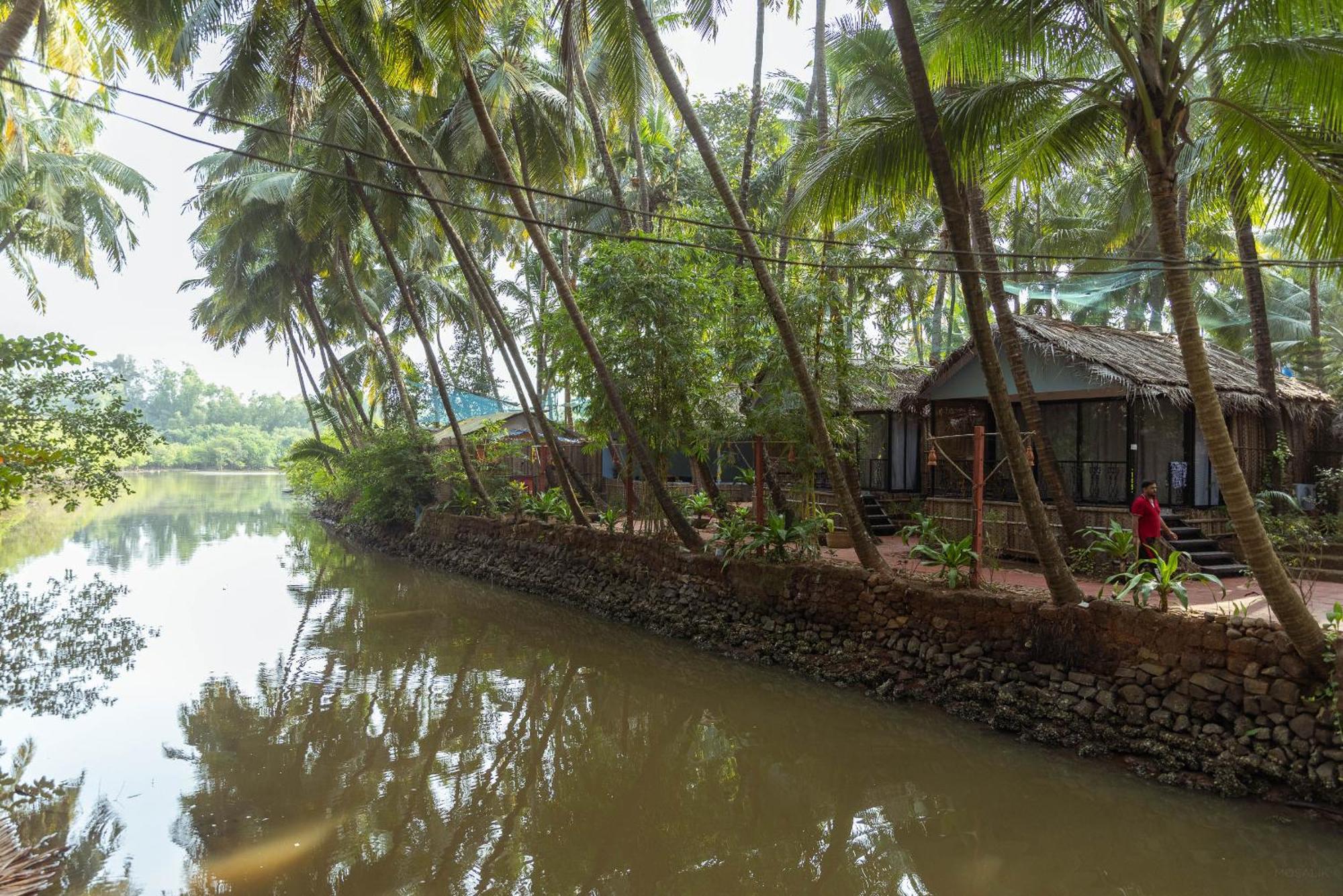 Resort Palm Trees Ayurvedic Heritage 2*