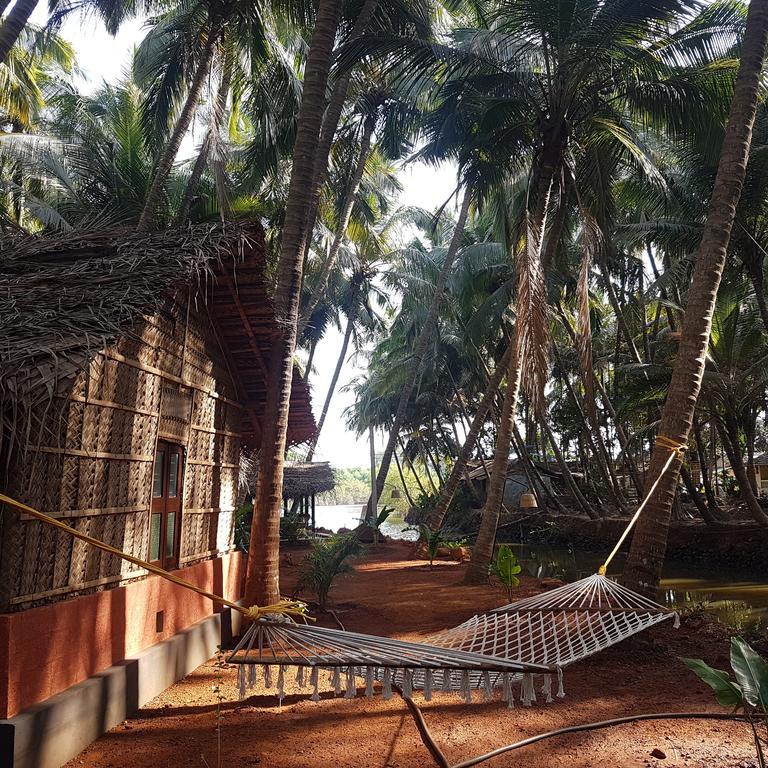 Palm Trees Ayurvedic Heritage Resort 2*