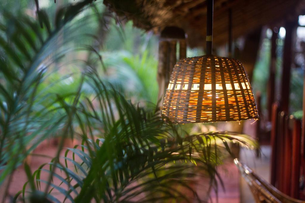 Palm Trees Ayurvedic Heritage Resort 2*