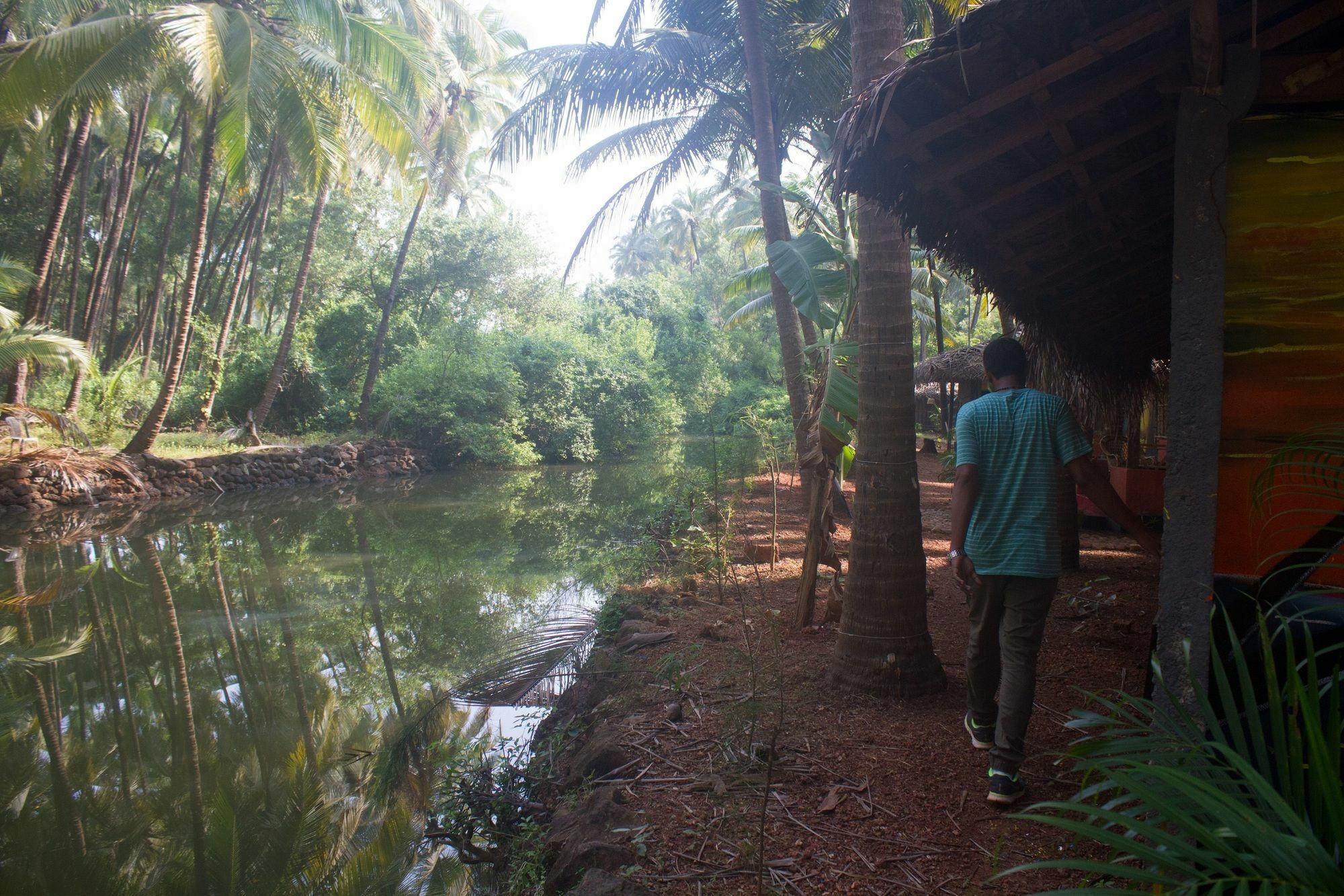 Resort Palm Trees Ayurvedic Heritage Patnem Beach