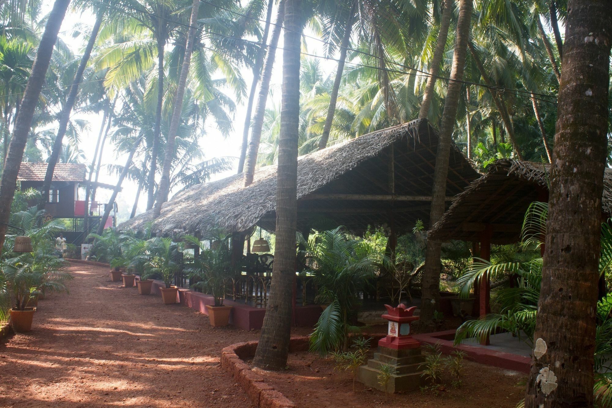 Resort Palm Trees Ayurvedic Heritage Patnem Beach